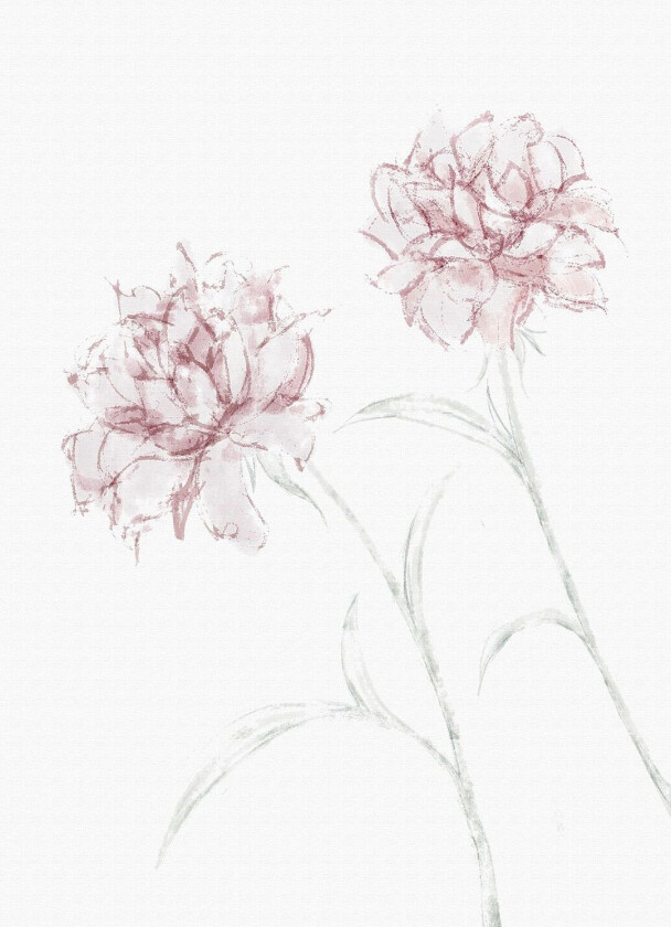 Poster Peony 03, Beige