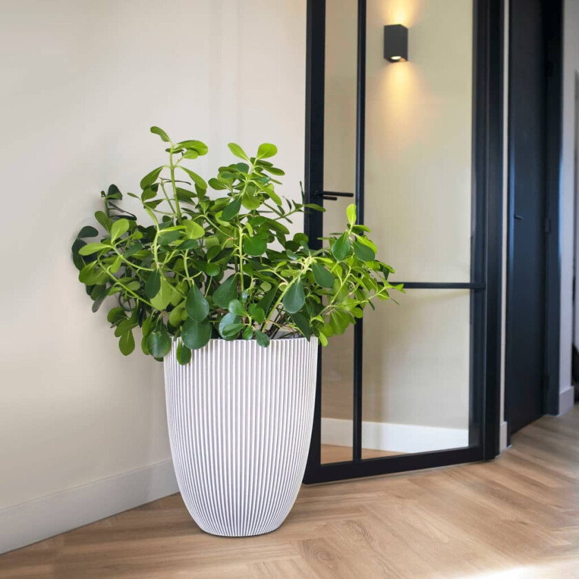 Vase elegant Groove 34x46 elfenben