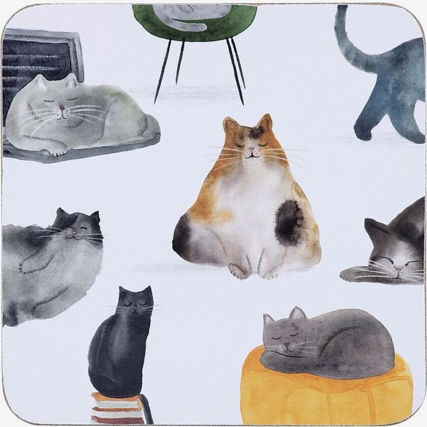 Coasters 4-p Cats, Flerfarget