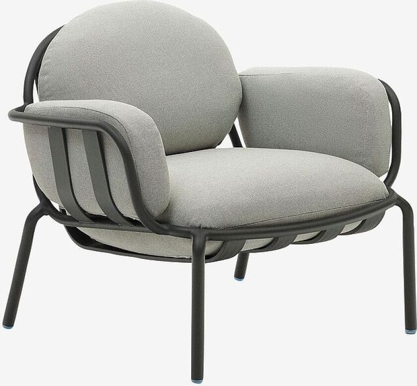 Lenestol Joncols, Grå