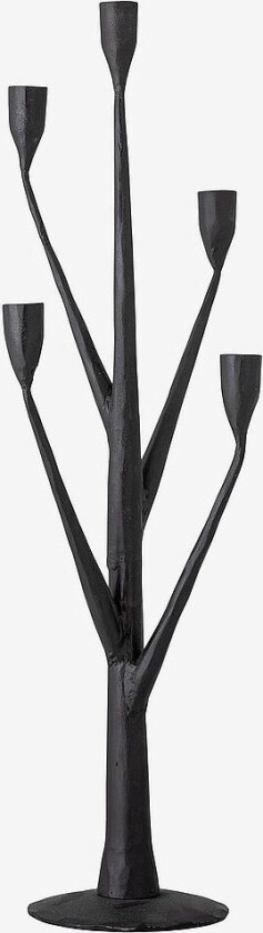 Lysestake Abriz, Svart