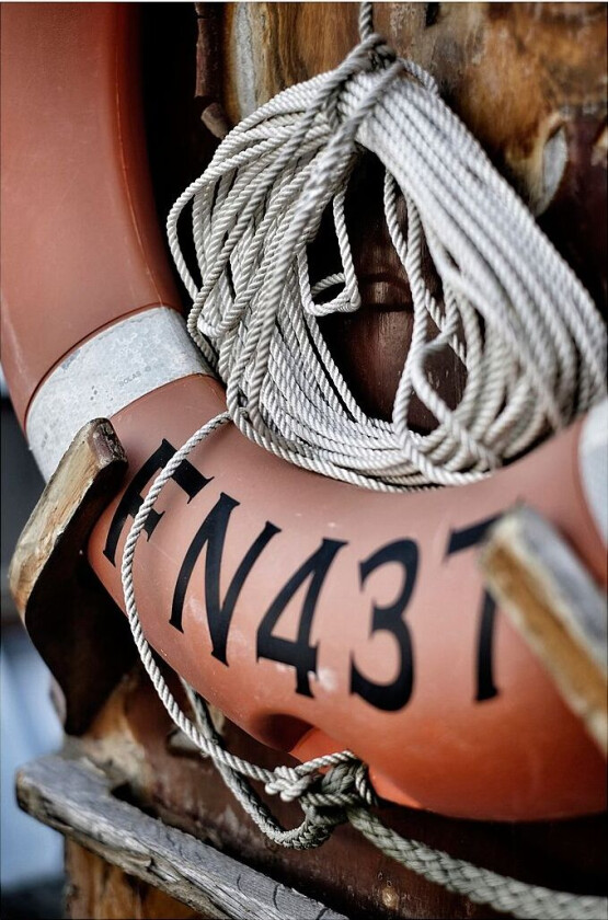 Poster Lifebuoy, Flerfarget