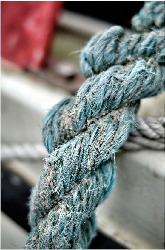 Poster Rope, Flerfarget