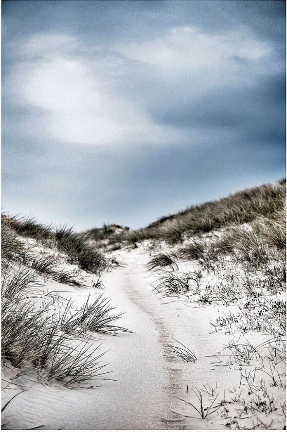 Poster The path, Flerfarget