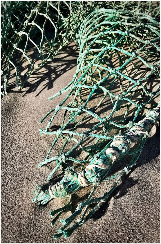 Poster Net in sand, Grønn