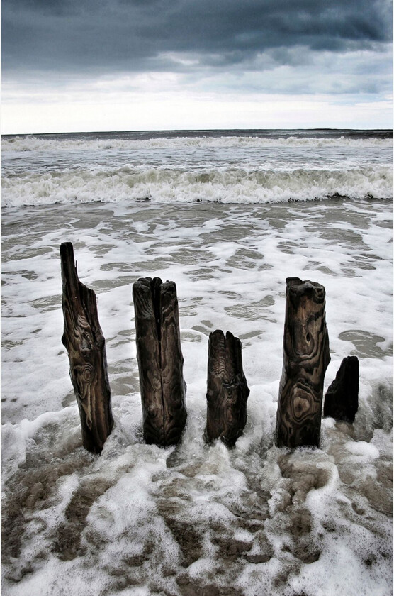 Poster High tide, Flerfarget