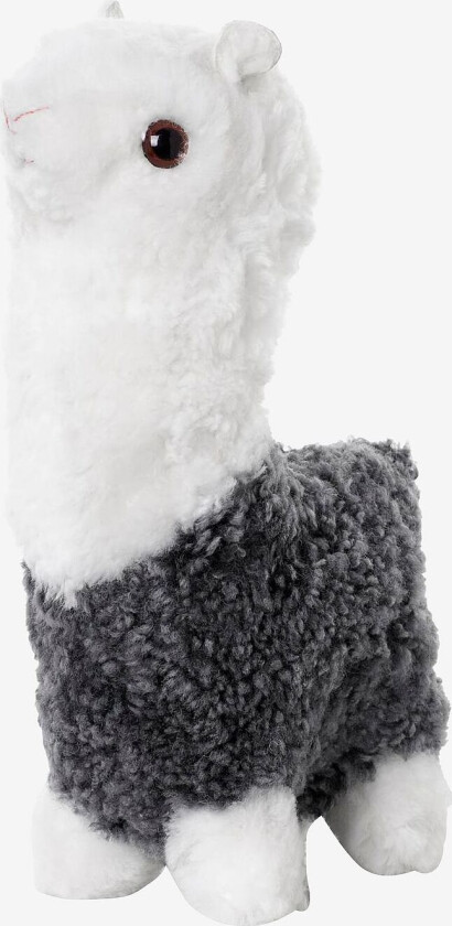 Alpakka i saueskinn Curly, Grå