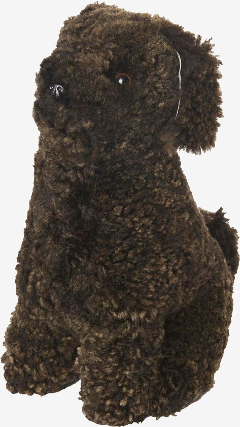 Snowy i saueskinn Curly, Brun