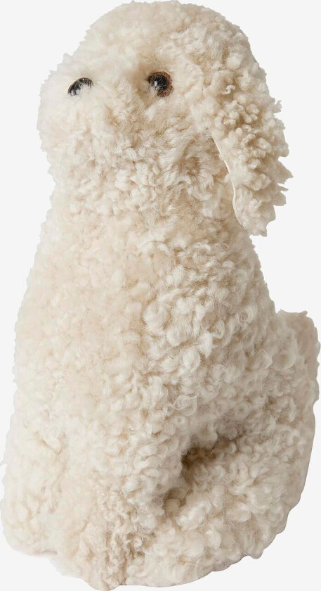 Snowy i saueskinn Curly, Hvit