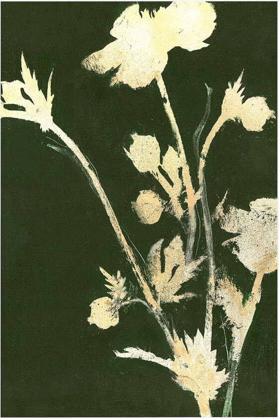 Poster Pure Nature 6, Grønn