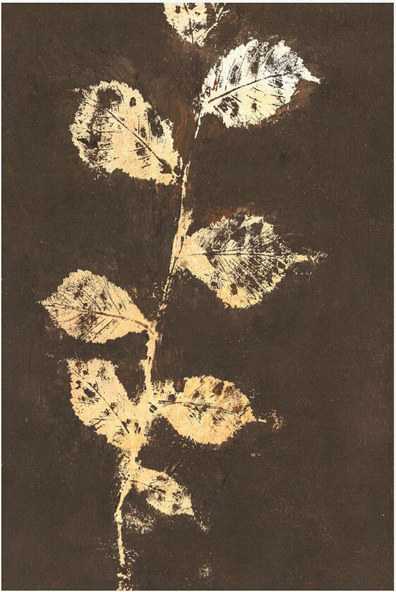 Poster Pure Nature 4, Brun