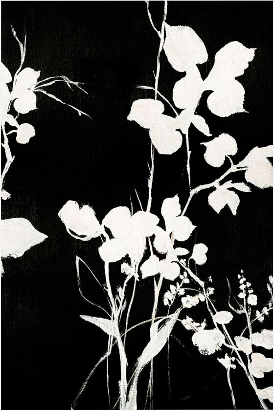 Poster Silhouet Leaves 1, Svart