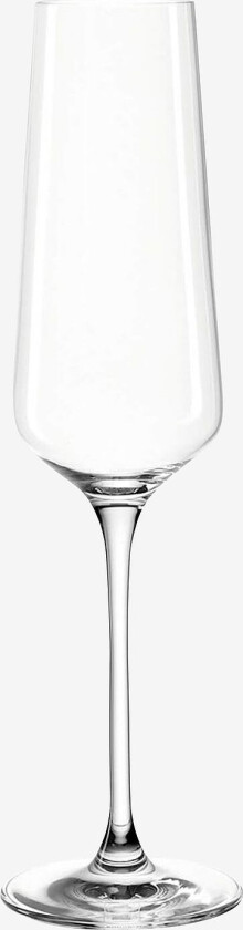 Champagneglass PUCCINI 6-pk, Transparent