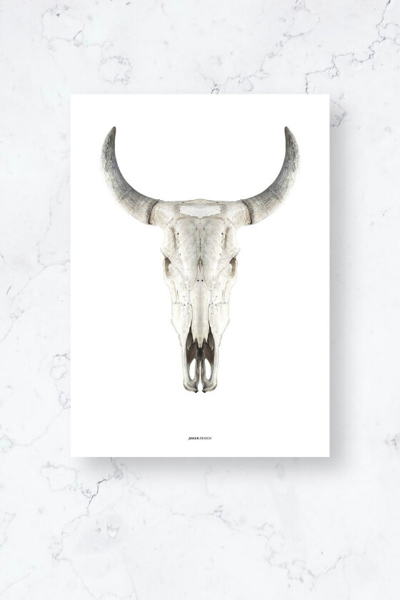 Poster / Cow skull / Plano, Hvit