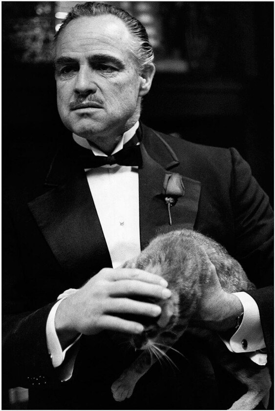 Poster Marlon Brando 2, Svart