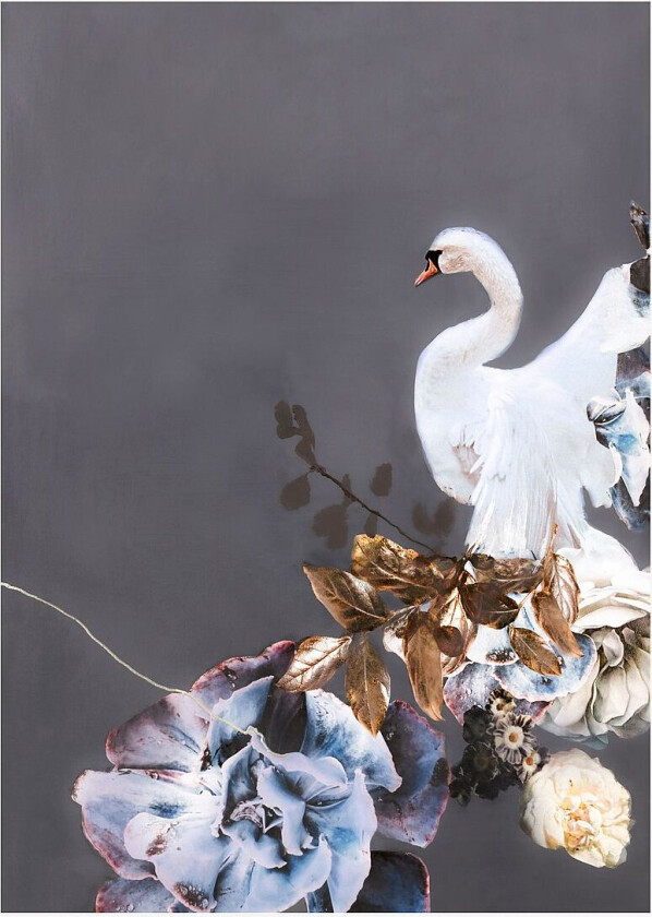 Poster Swan Gold 1, Grå