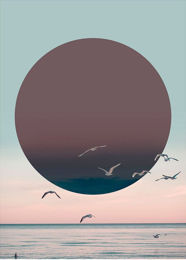 Poster Sundown 2, Lilla