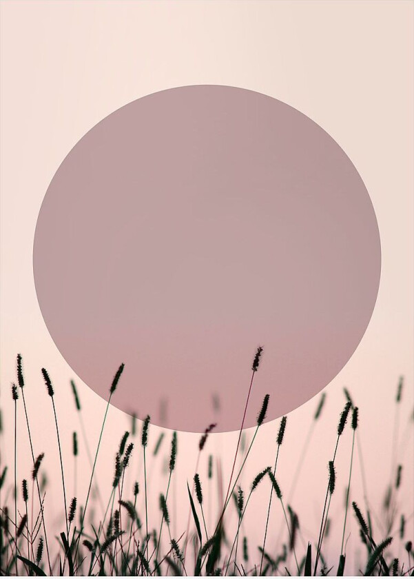 Poster Sundown 1, Lilla