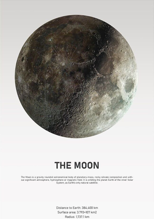 Poster The Moon Light, Hvit