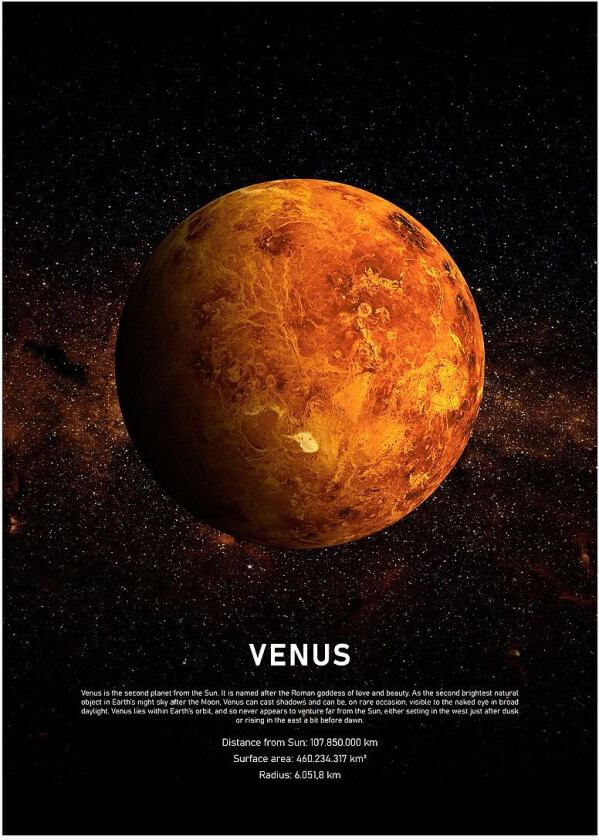 Poster Venus, Svart