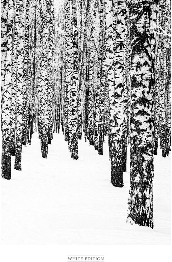 Poster White Edition 2, Svart