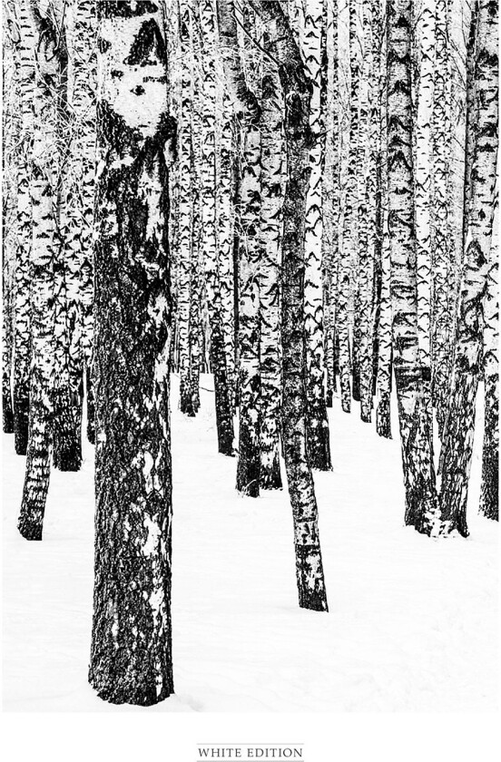 Poster White Edition 1, Svart