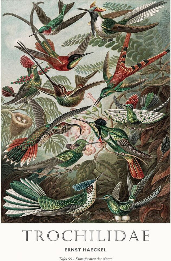 Poster Tafel 99, Grønn