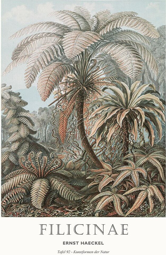 Poster Tafel 92, Grønn