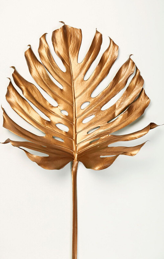 Poster Monstrea gold leaf, Gull