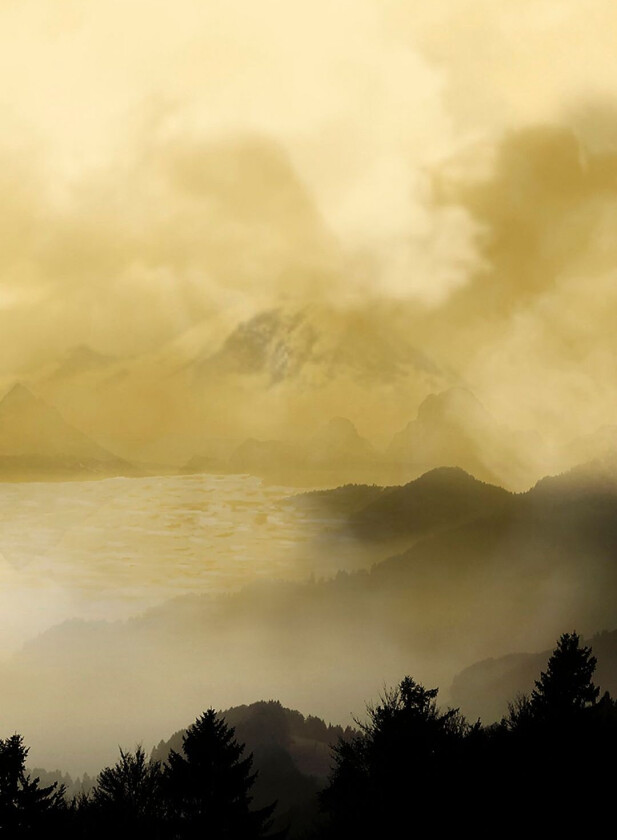 Poster Holy land 2, Gul