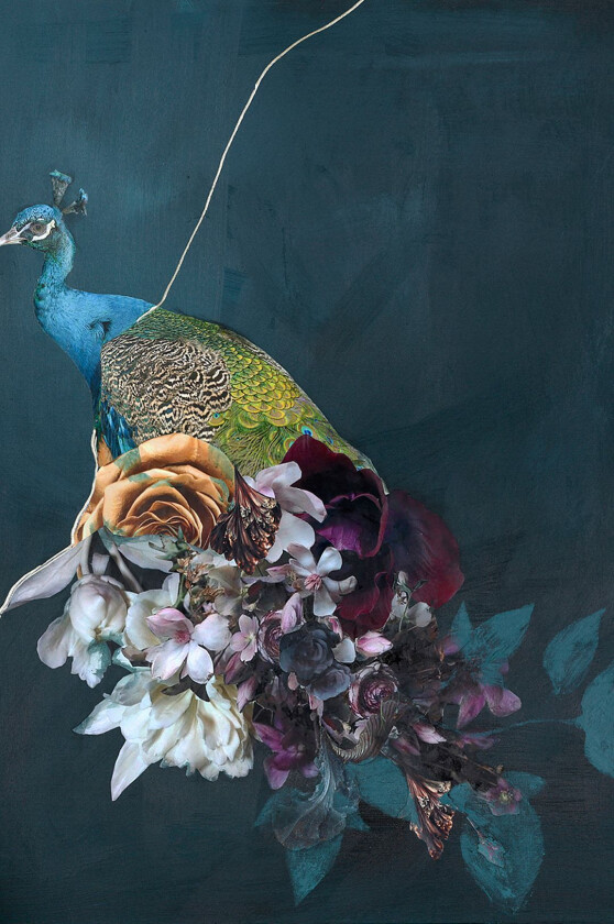 Poster Haute couture 10, Blå