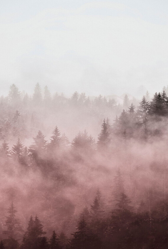 Poster Foggy red, Rød