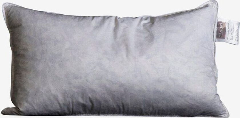 Bilde av Innerpute Fjær 30x50 cm, Hvit