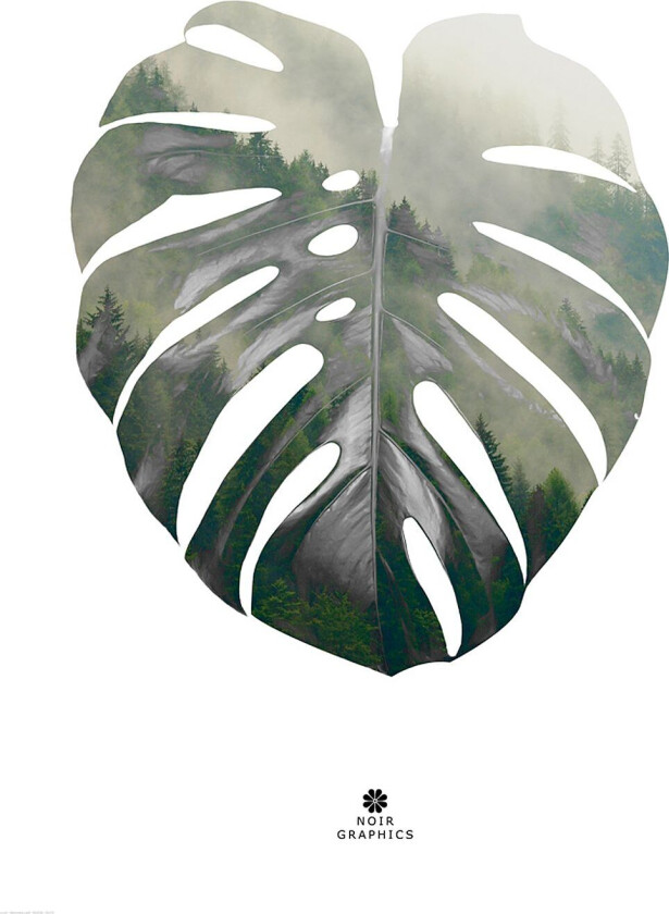 Poster Monstera leaf, Grønn