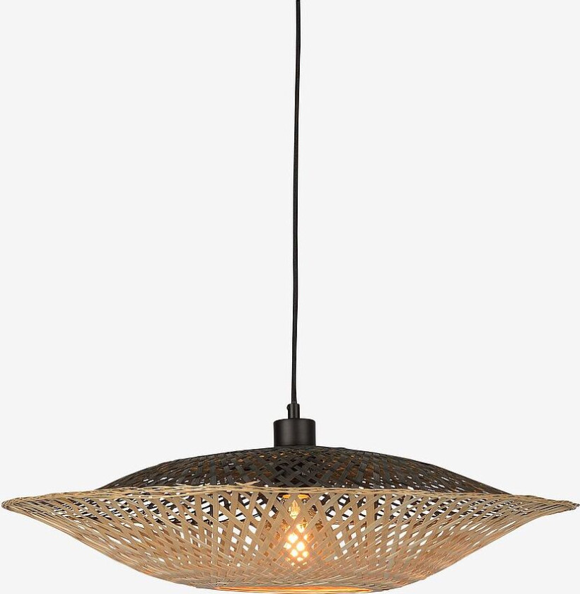 Taklampe Kalimantan, Natur