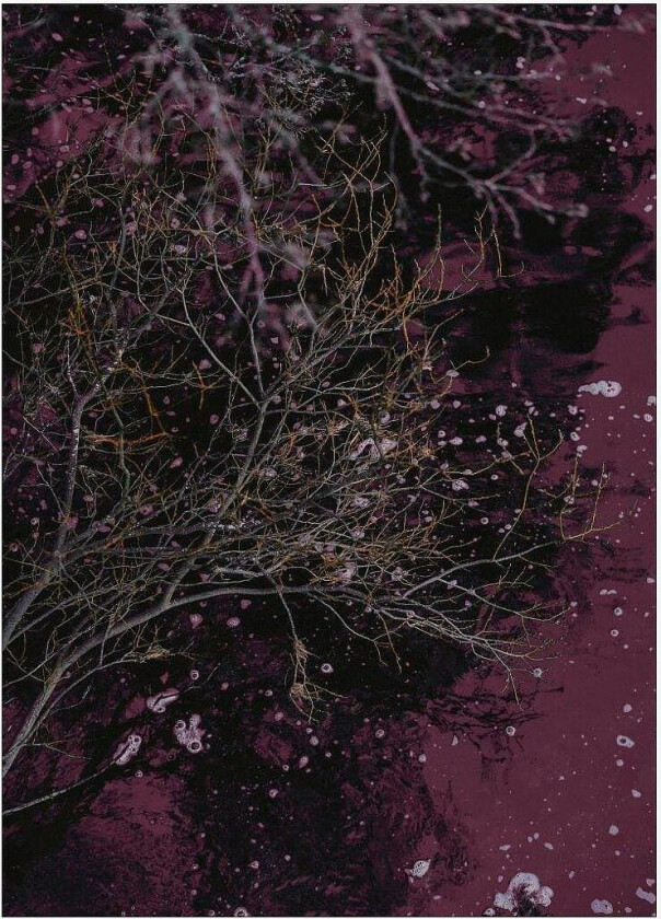 Poster River of wine, Rød