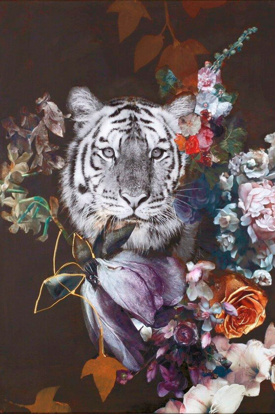 Poster Wild Couture 1, Brun