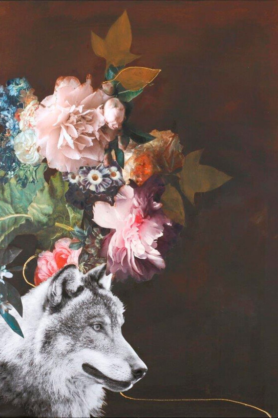 Poster Wild Couture 2, Brun