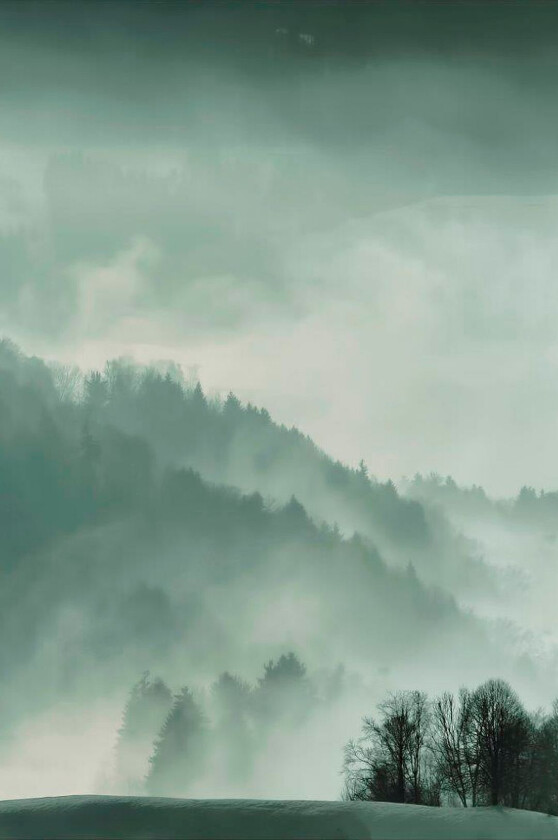 Poster Holy Land, Grønn