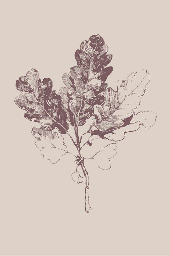 Poster Botanica 3, Beige