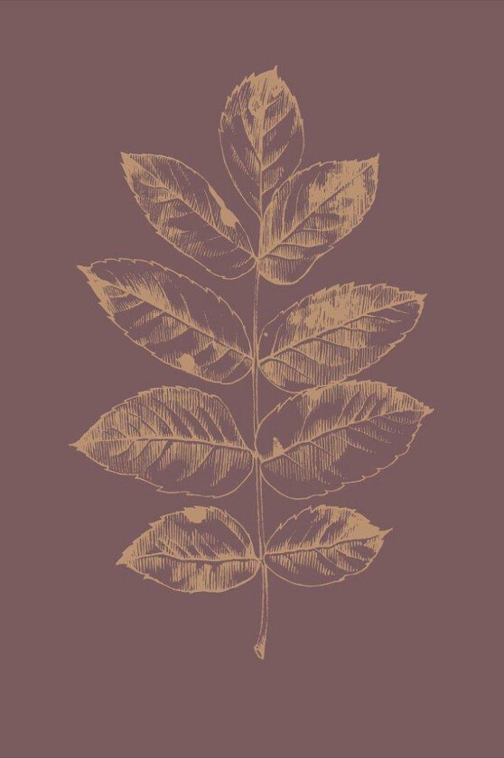 Poster Botanica 2, Rød