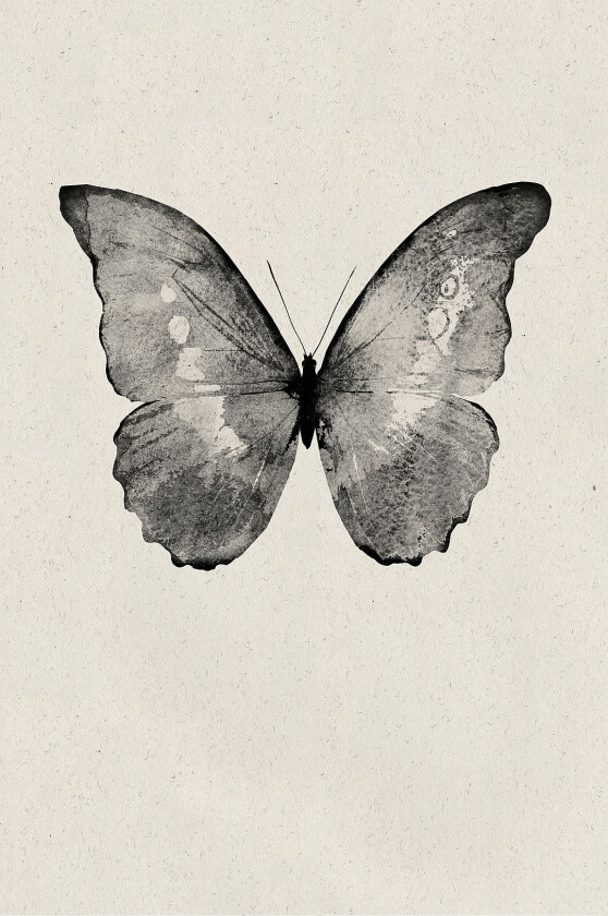 Poster / Black Butterfly, Beige