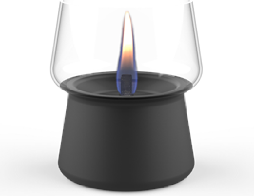 Amaryllis 10 Black