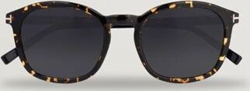 Tom Ford Jayson Sunglasses Dark Havana/Smoke