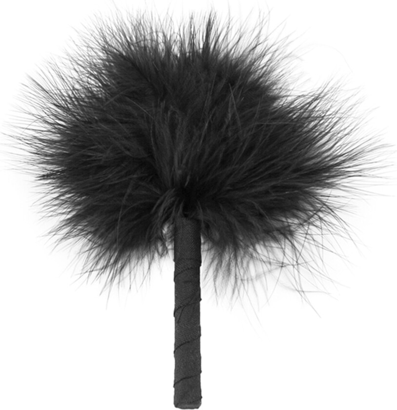 Feather Tickler