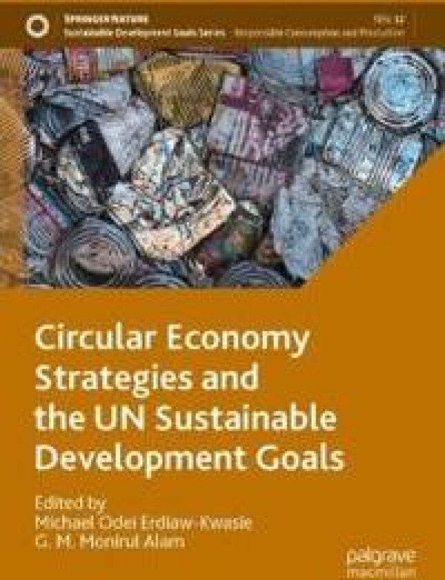 Circular Economy Strategies and the UN Sustainable Development Goals