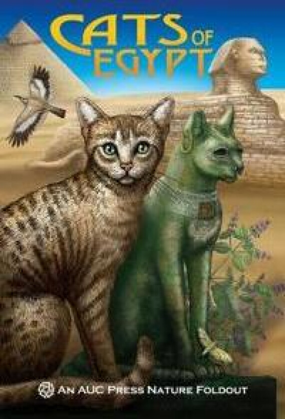 Cats of Egypt