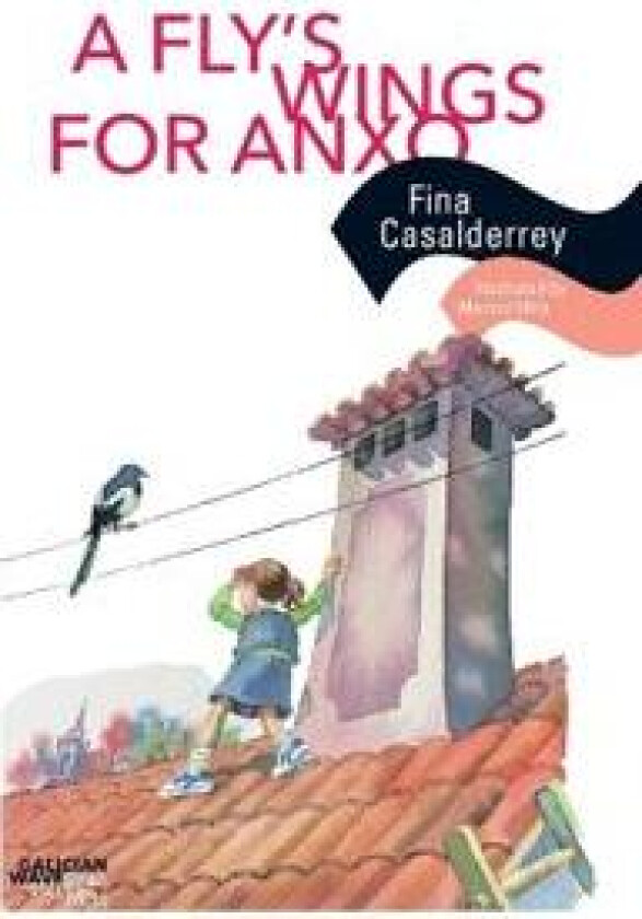 A Fly's Wings for Anxo