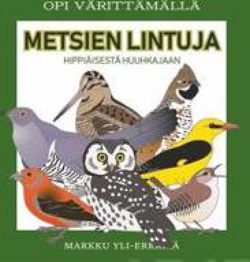 Metsien lintuja