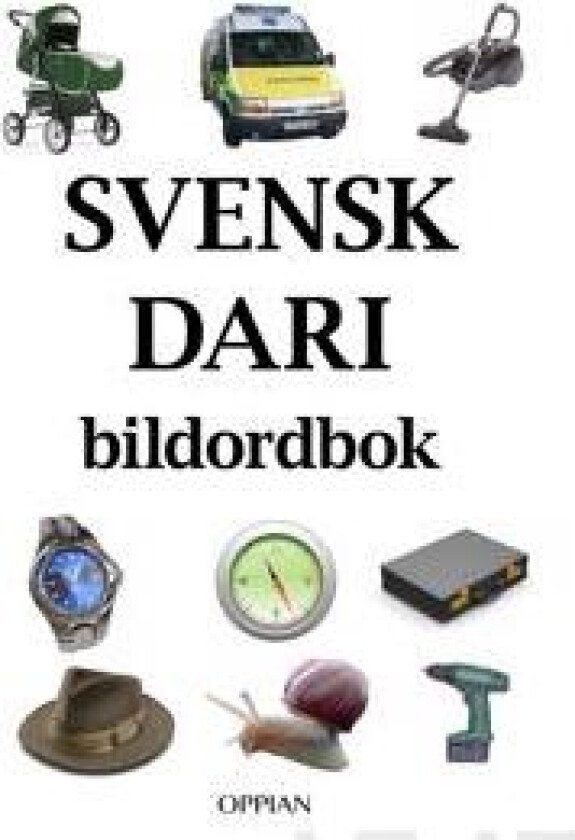 Svensk-dari bildordbok
